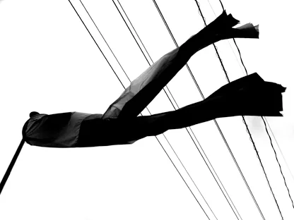 web1005.jpg