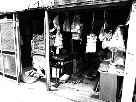 web2011111.jpg