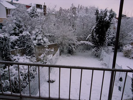 web201110.jpg