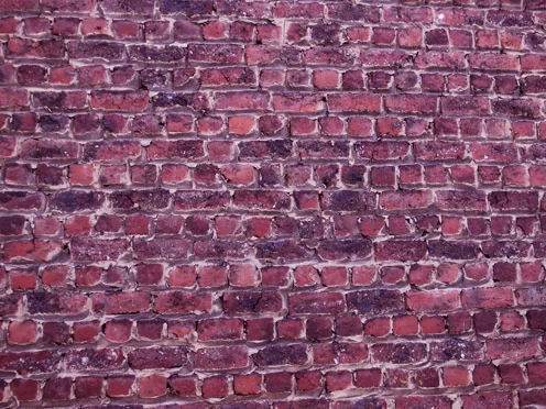 web89.jpg