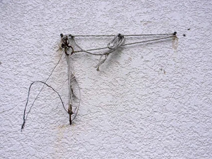 web2011112.jpg