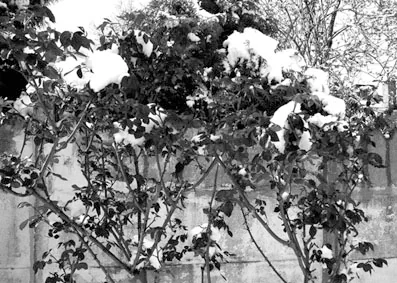 web0912a.jpg